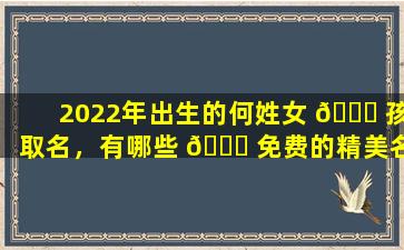 2022年出生的何姓女 🐘 孩取名，有哪些 🐈 免费的精美名字推荐